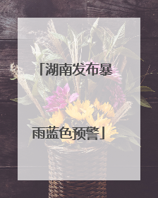 湖南发布暴雨蓝色预警